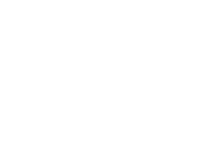 Abhyaasa swan